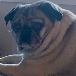 Meet your Posher, Kevin